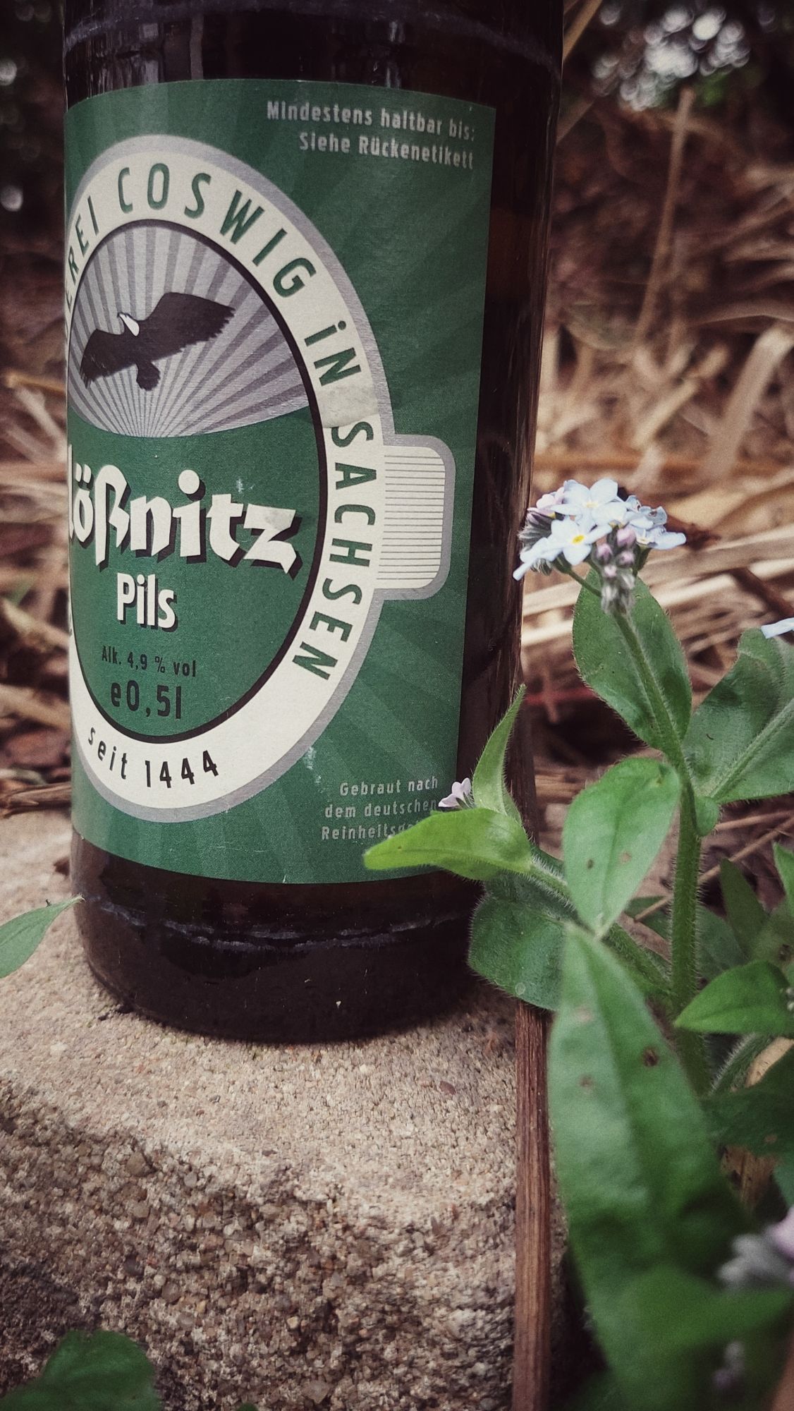 Closeup of a beer bottle on a concrete block. A flower nearby. 