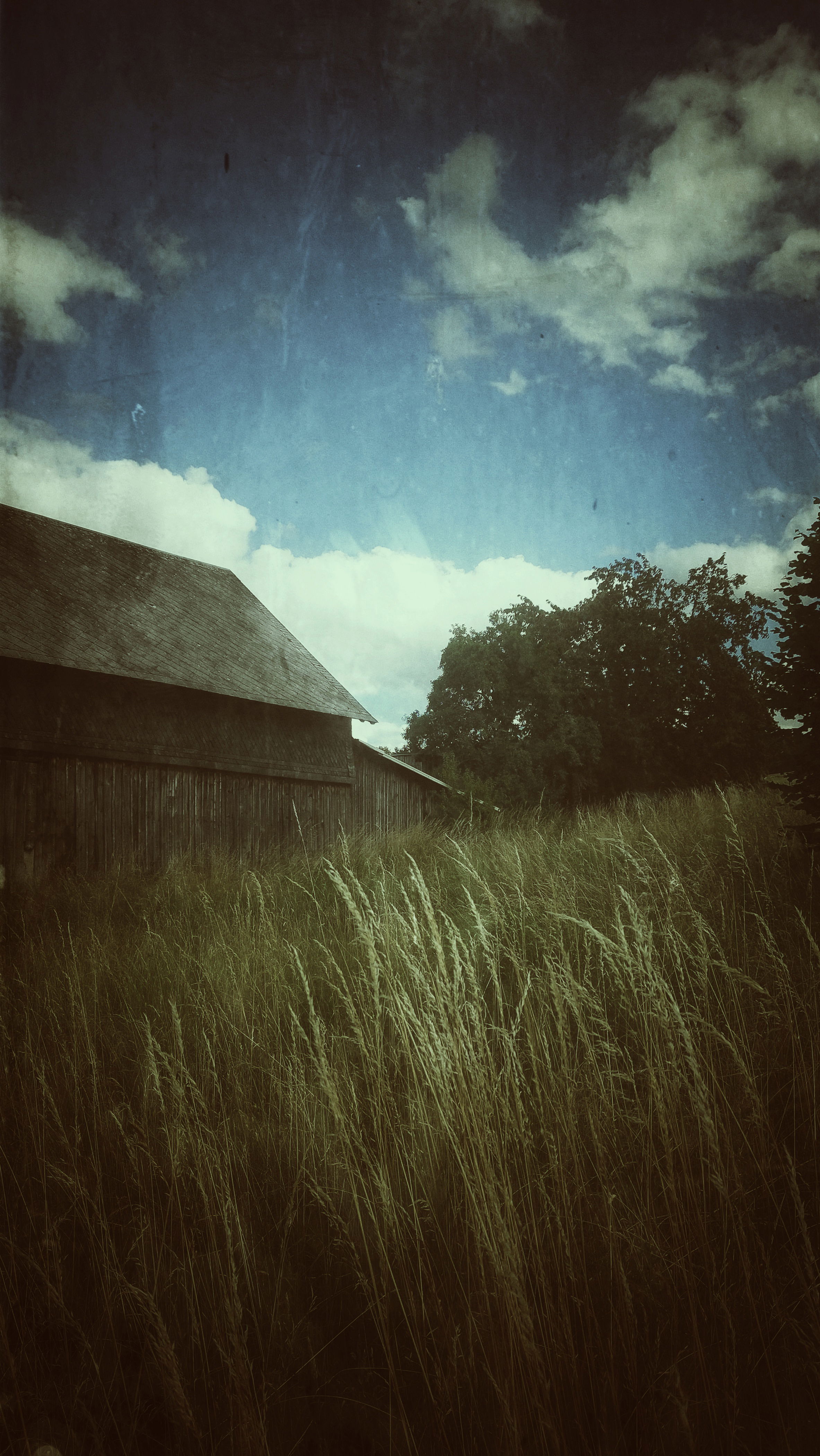 A field with a barn behind. Clouds on a blue sky. A warm mood in everything. 