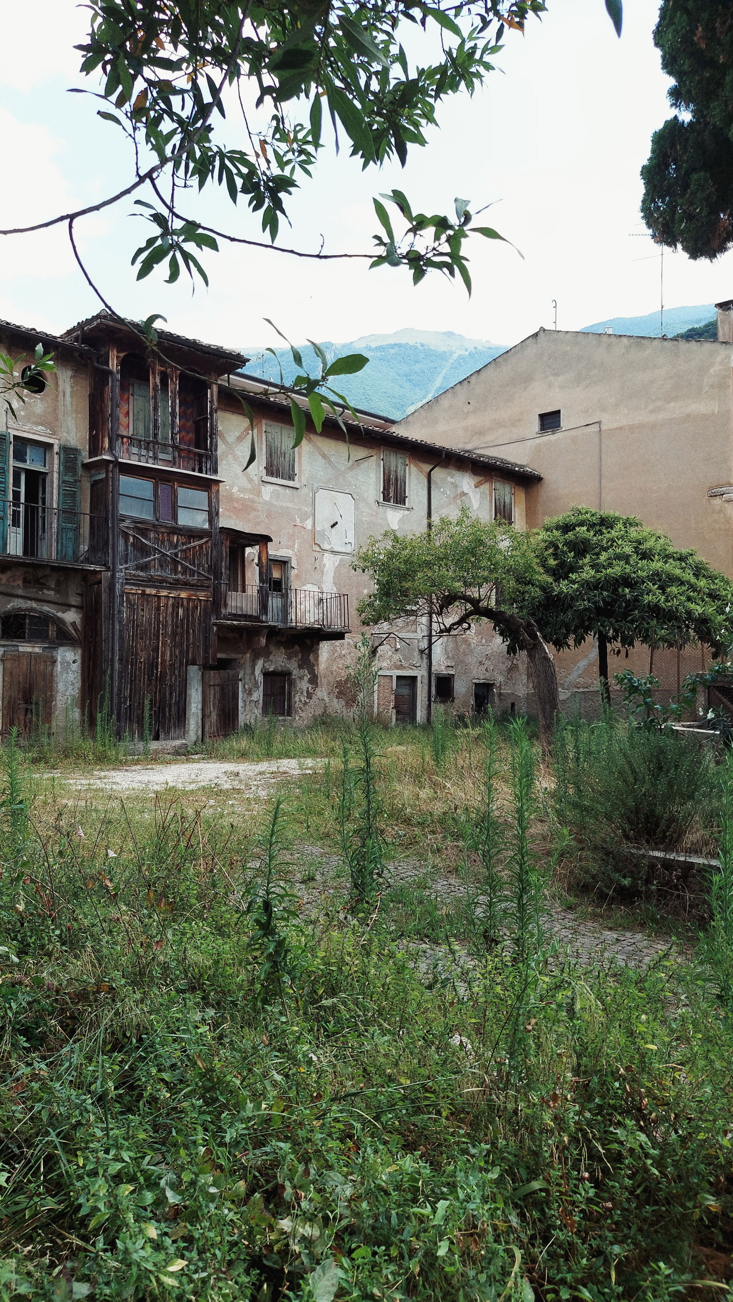A backyard gradually covered by new green. A beautiful yet abandoned house in the back.