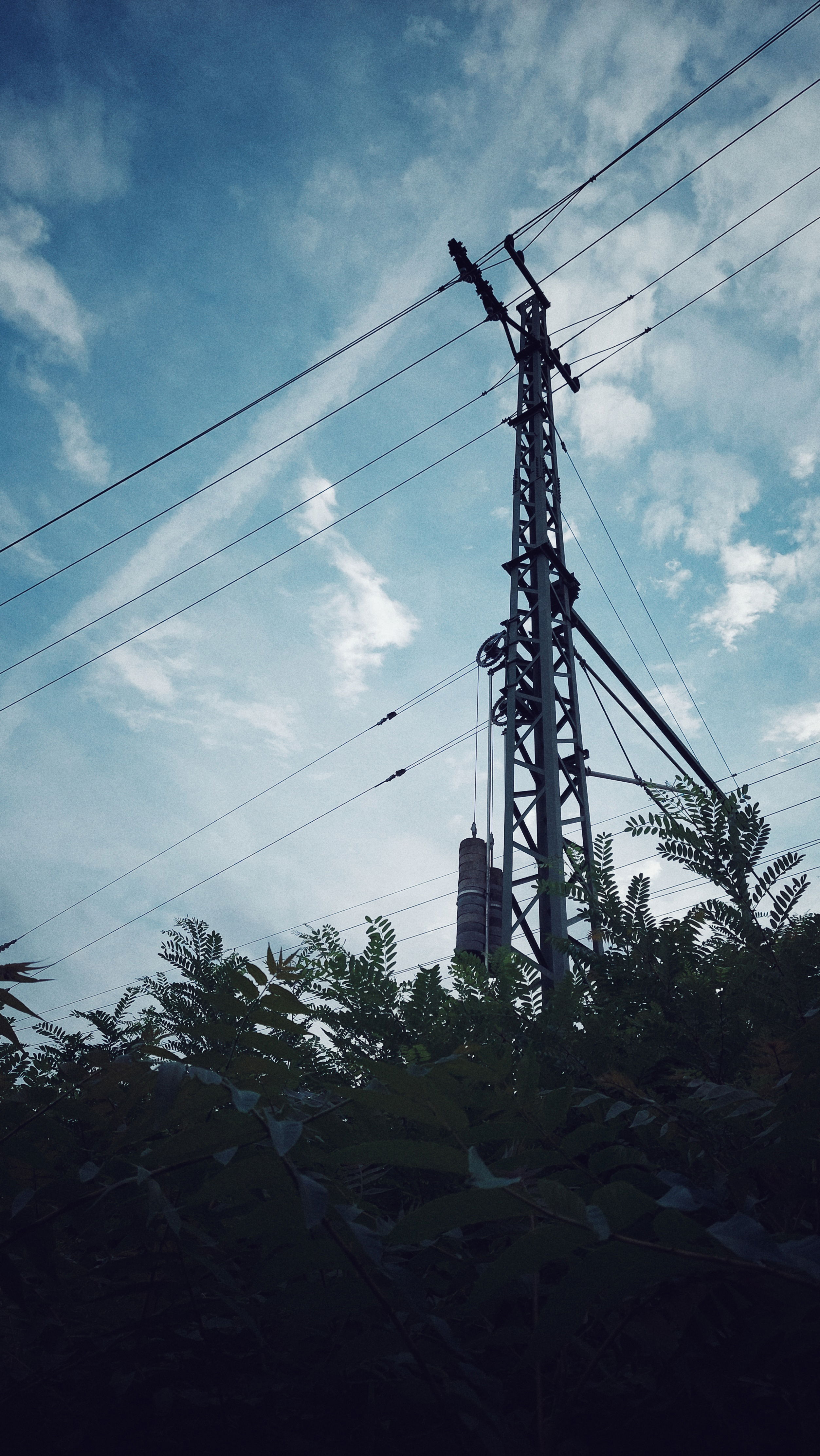 Railroad power infrastructure behind bushes. A blue sky with thin white clouds above.