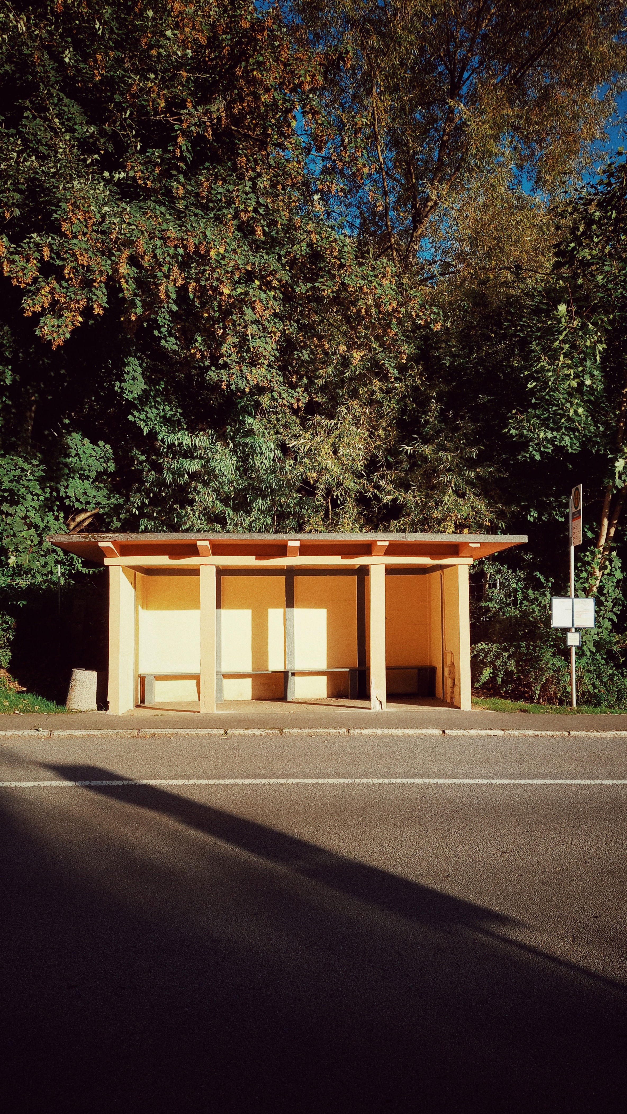 An empty concrete bus stop in late summer light.