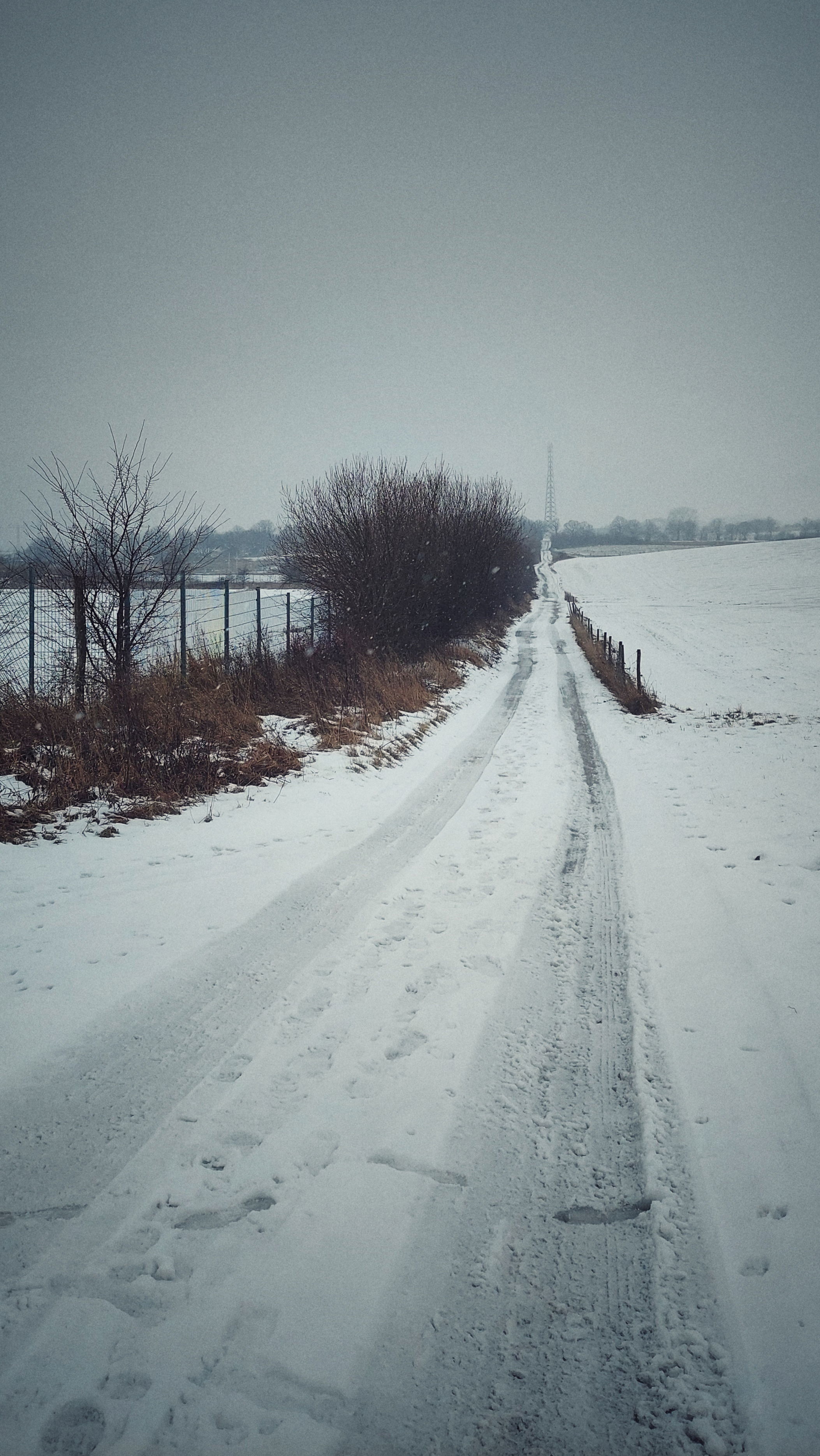 A snowcovered road through fields. Bushes on the left.