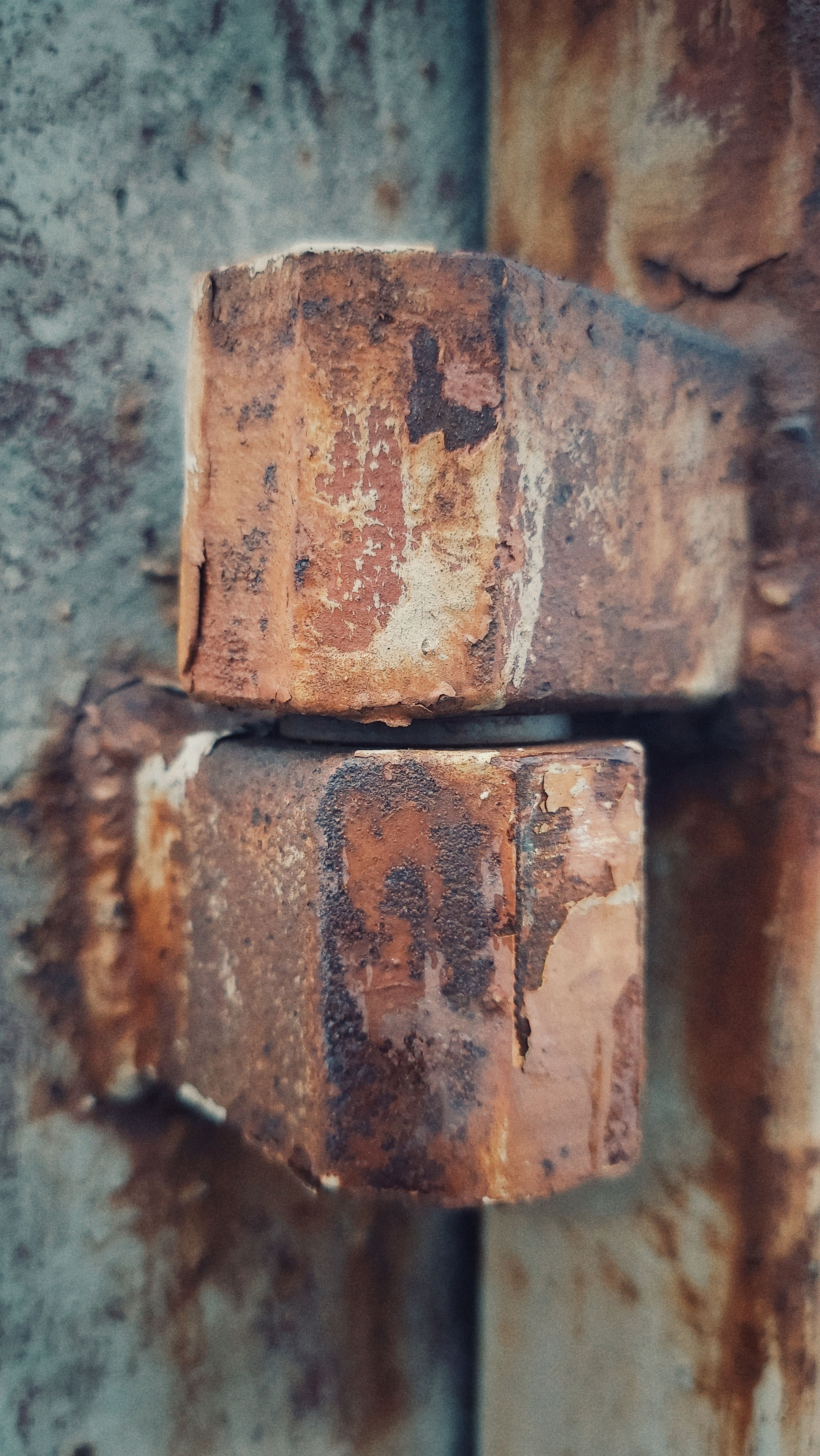 A rusty iron joint on a gate, closeup.