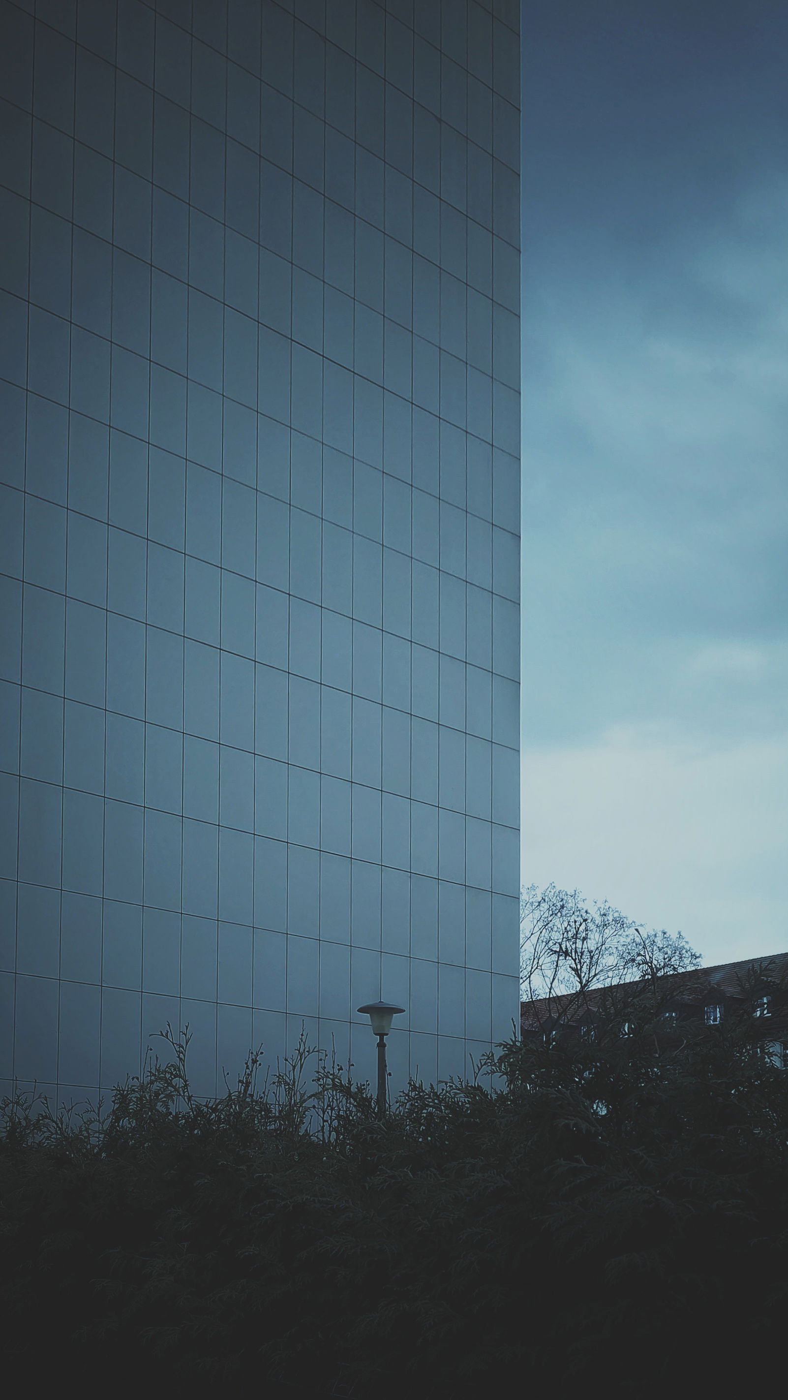 A high-rise above a hedge of dark bushes. Clouds in the backgrounds.