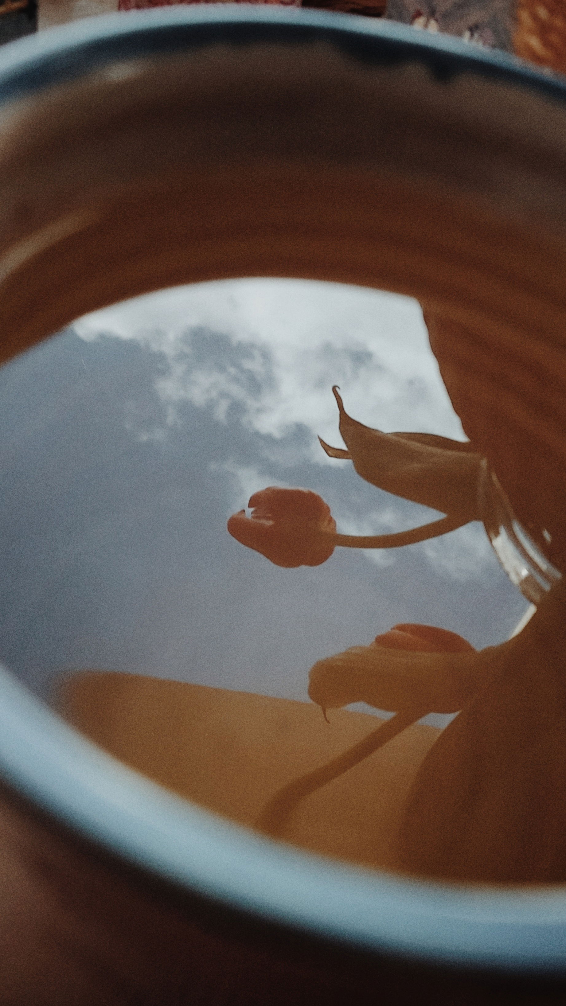 Tulips, blue sky and some clouds reflecting on the surface of a tea mug.