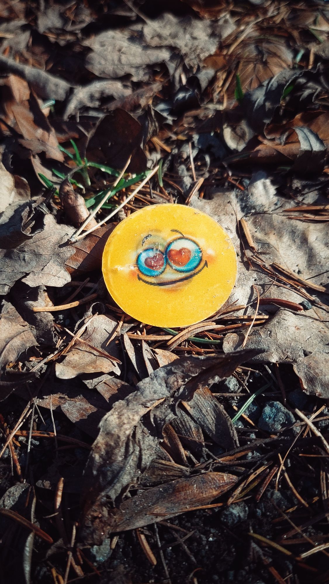 A holographic smiley with heart shaped eyes resting on the old leaves of a forest path.