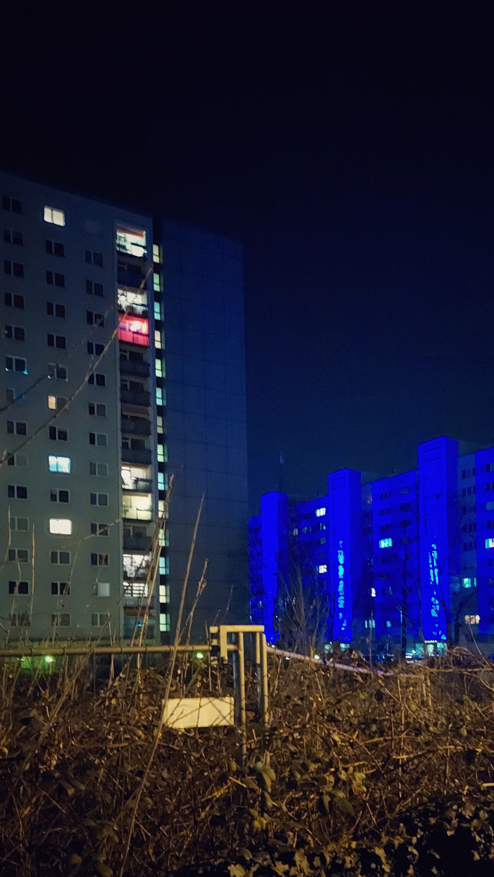 Blue high-rises behind thorny bushes.
