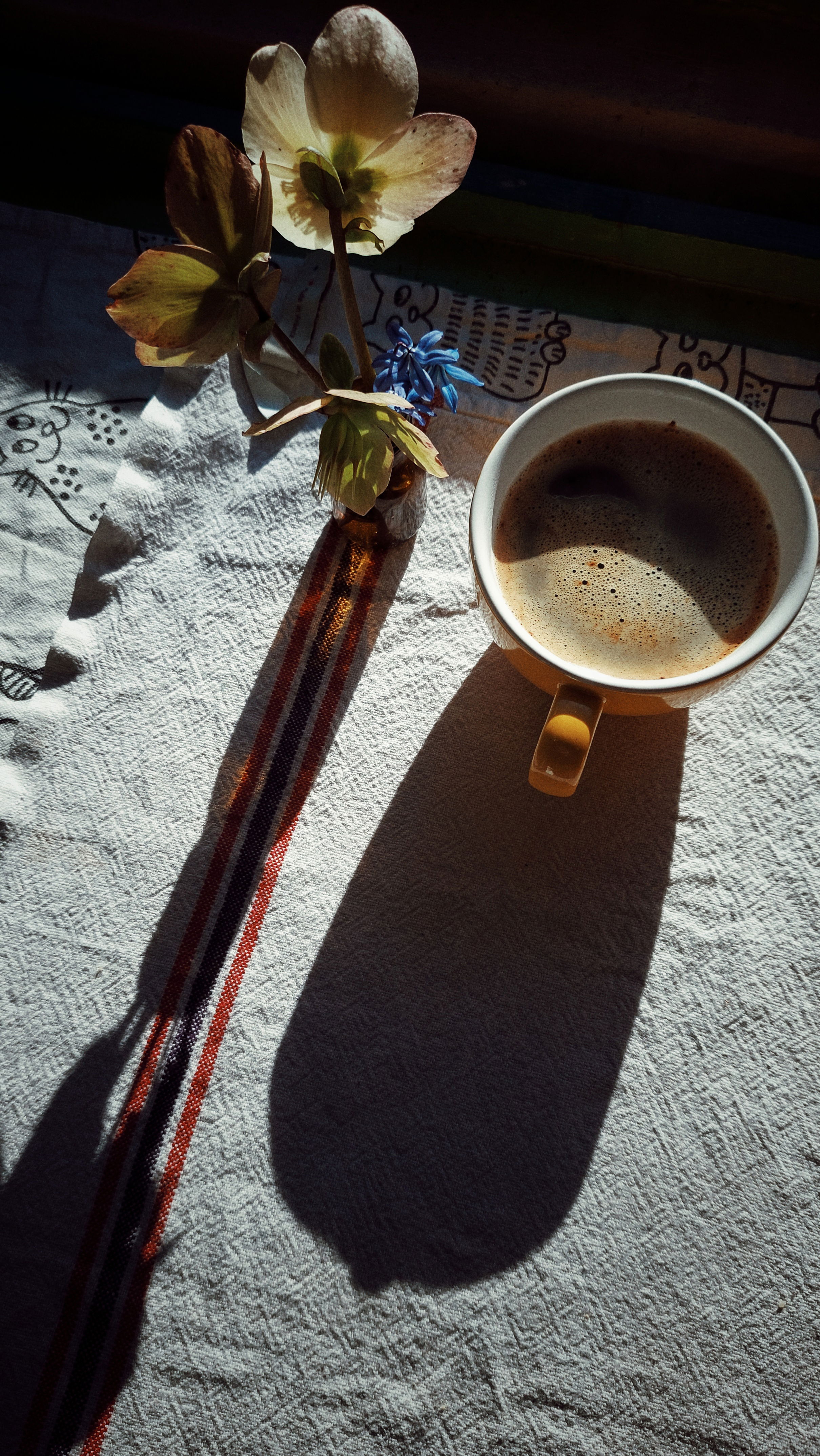 A coffee mug and a small vase containing two flowers. Afternoon sun, long shadows. Stark contrast. 