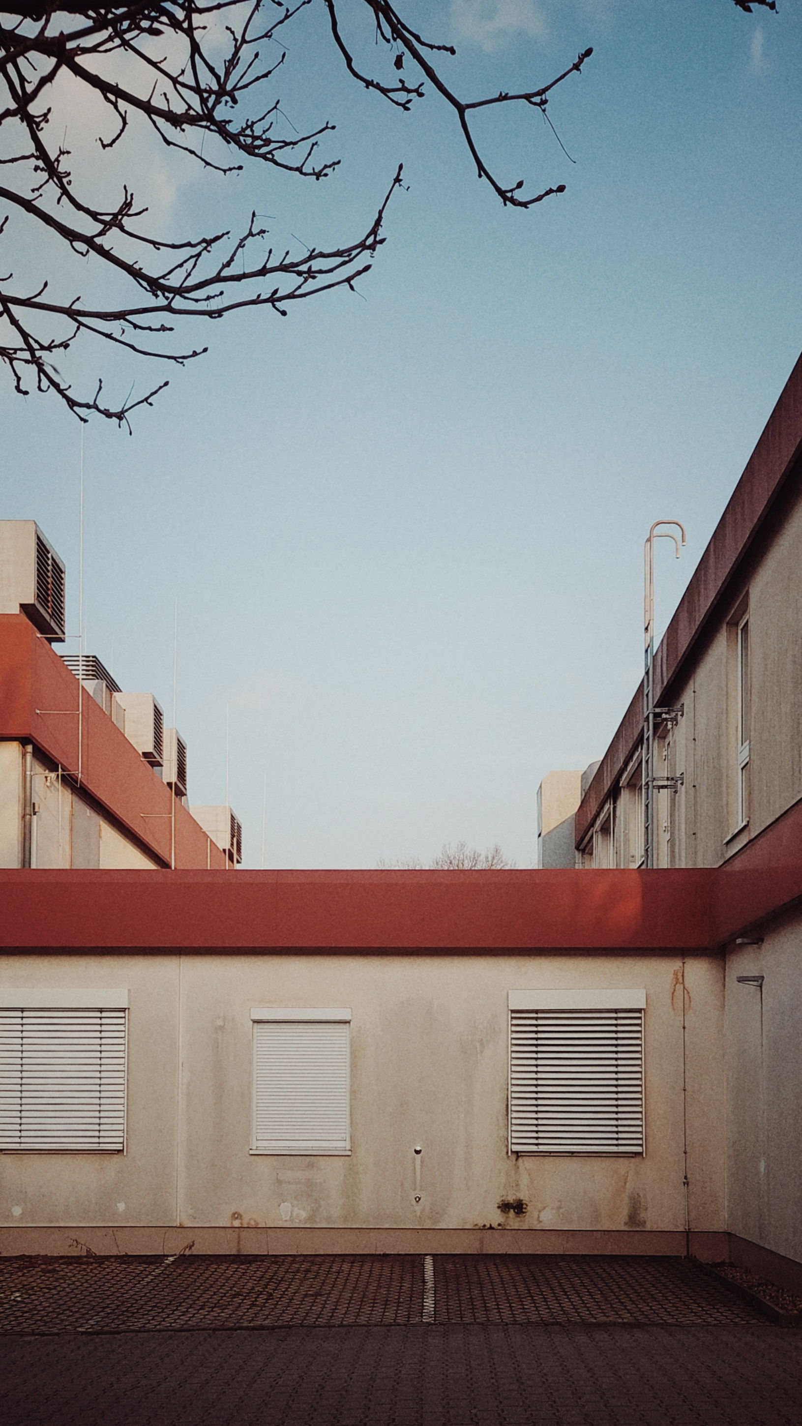 Pale blue sky and some trees above low, modern-age buildings, pale concrete and red linings.