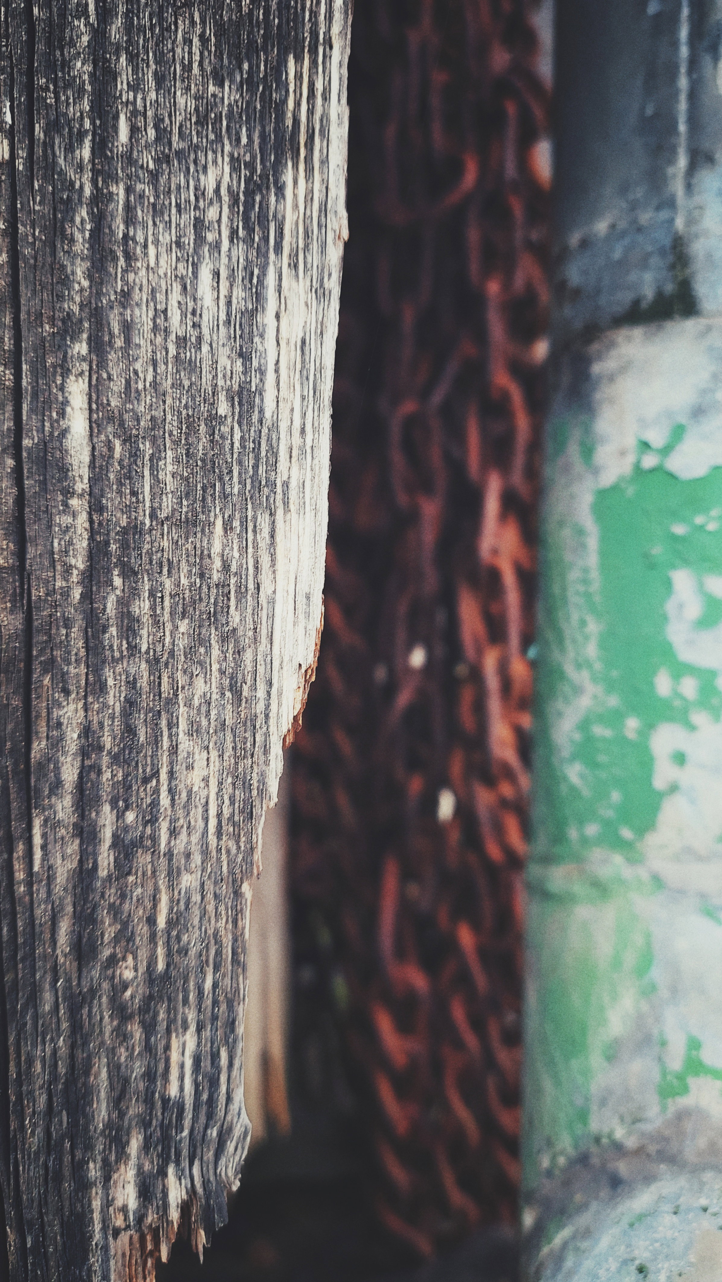 A wooden section of a barn wall. Rusty chains in the background, a green drainage pipe on the right. 