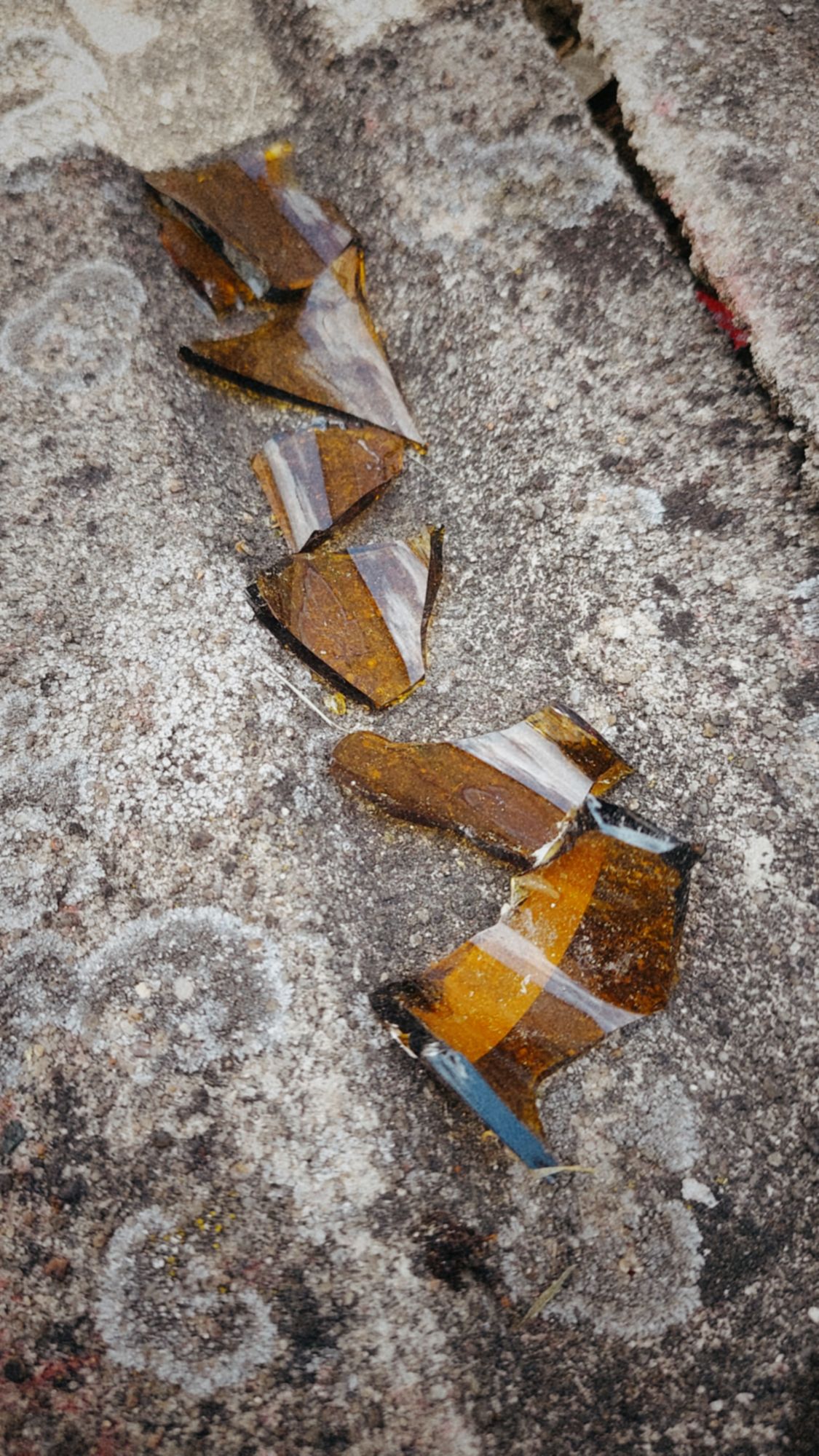 Shards of brown glass, apparently from a bottle, lined up on a concrete surface.