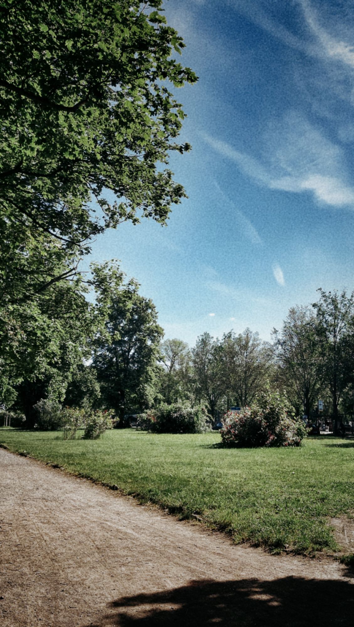 A blue sky and some white clouds above a meadow and a sandy walkway in a park.