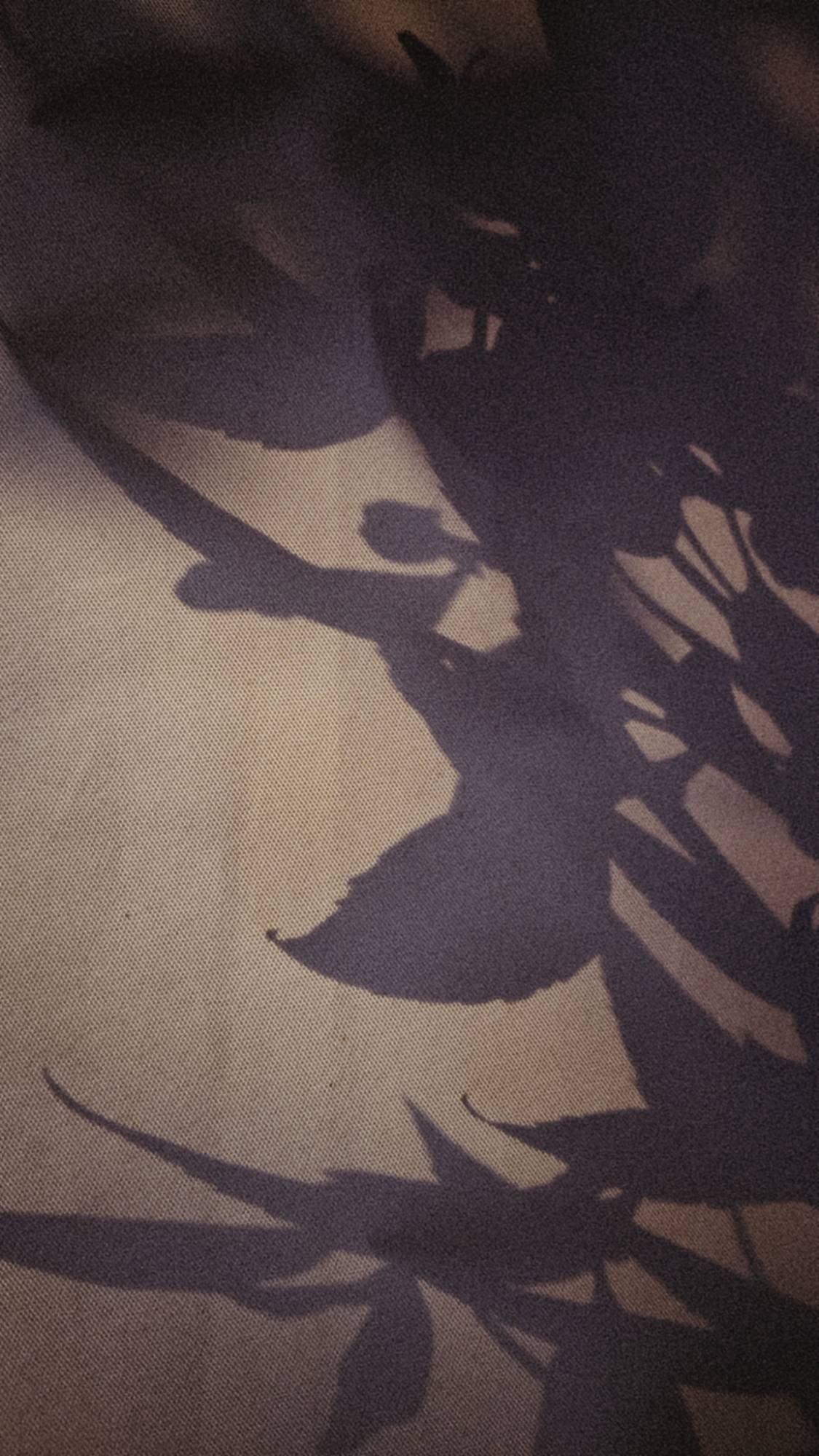 Forsythe leaves shadows on an umbrella.