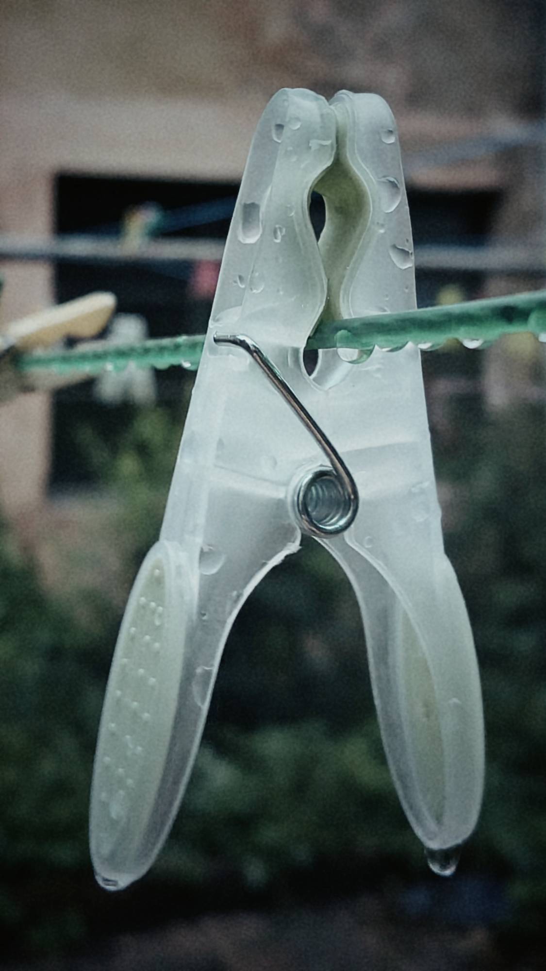 A clothes peg and raindrops on a green washing line.