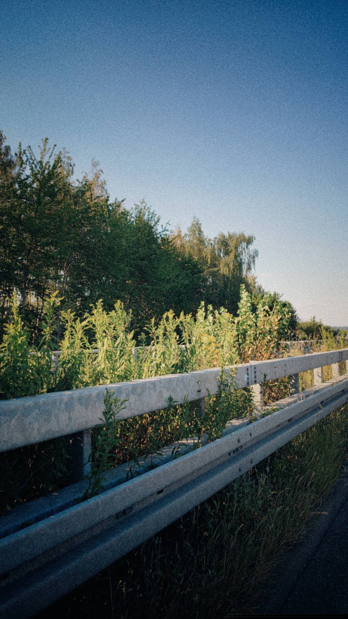 Middle guard rails of a German highway. Early evening sun.