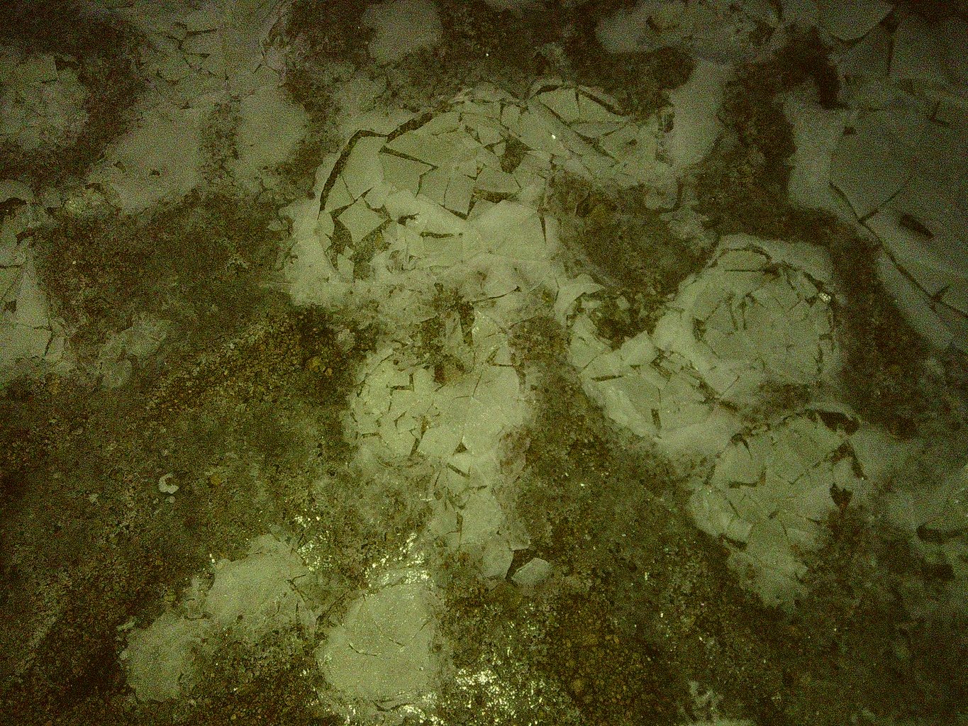 Flashlight shot of ice on muddy ground.