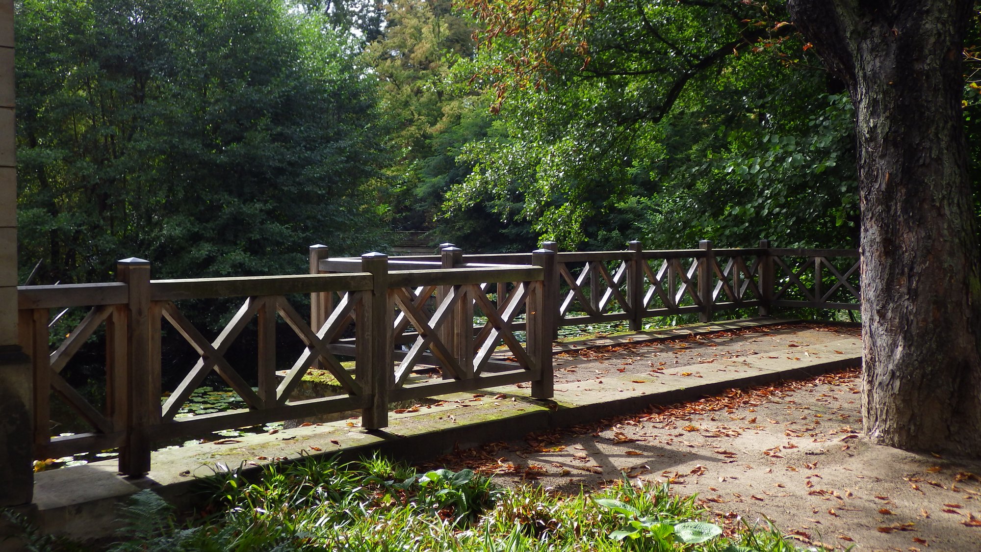 A wooden railing in front of a small lake, and a tree right in the picture.