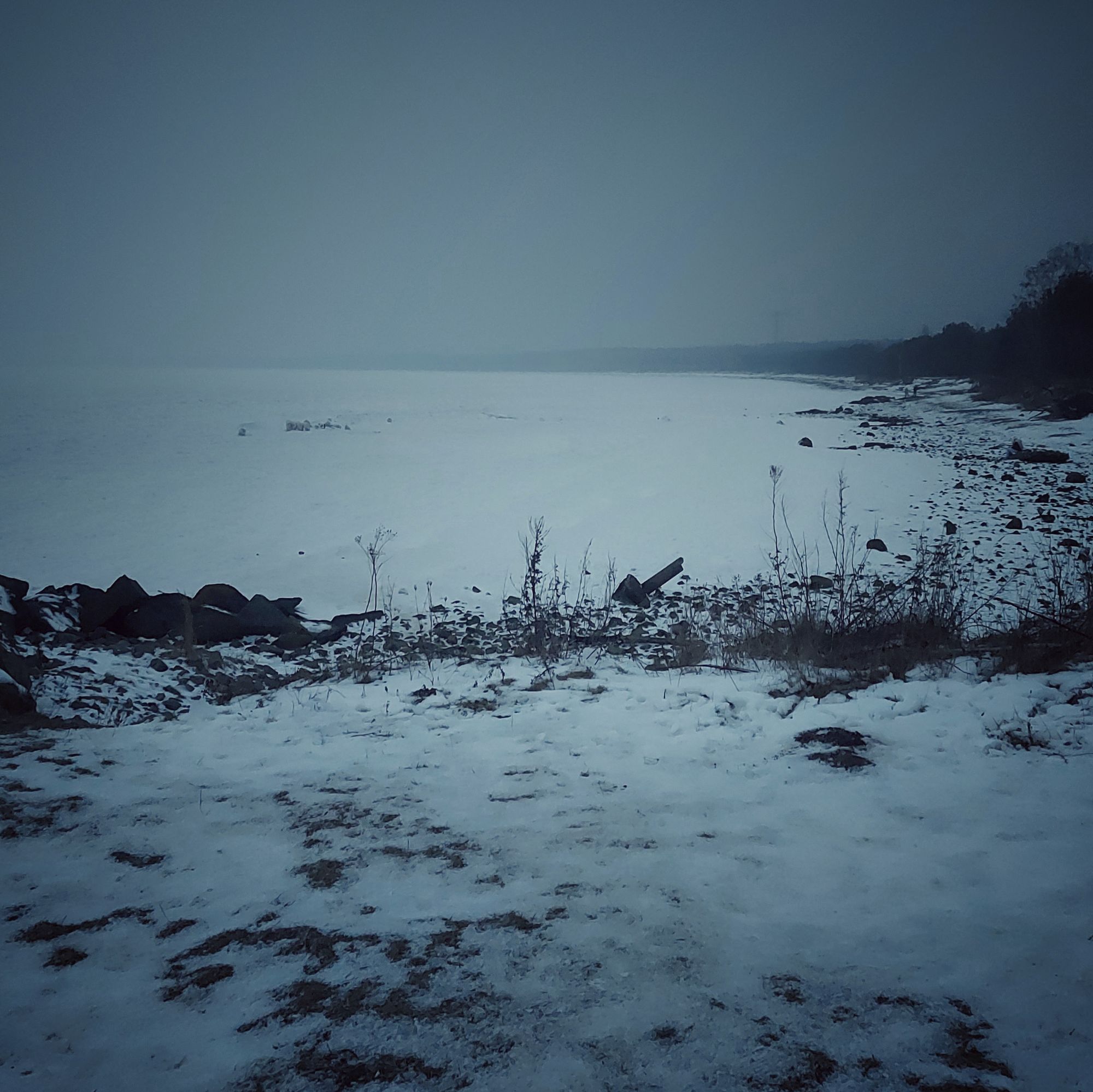Shoreline, frozen sea and a dark forest in the back.