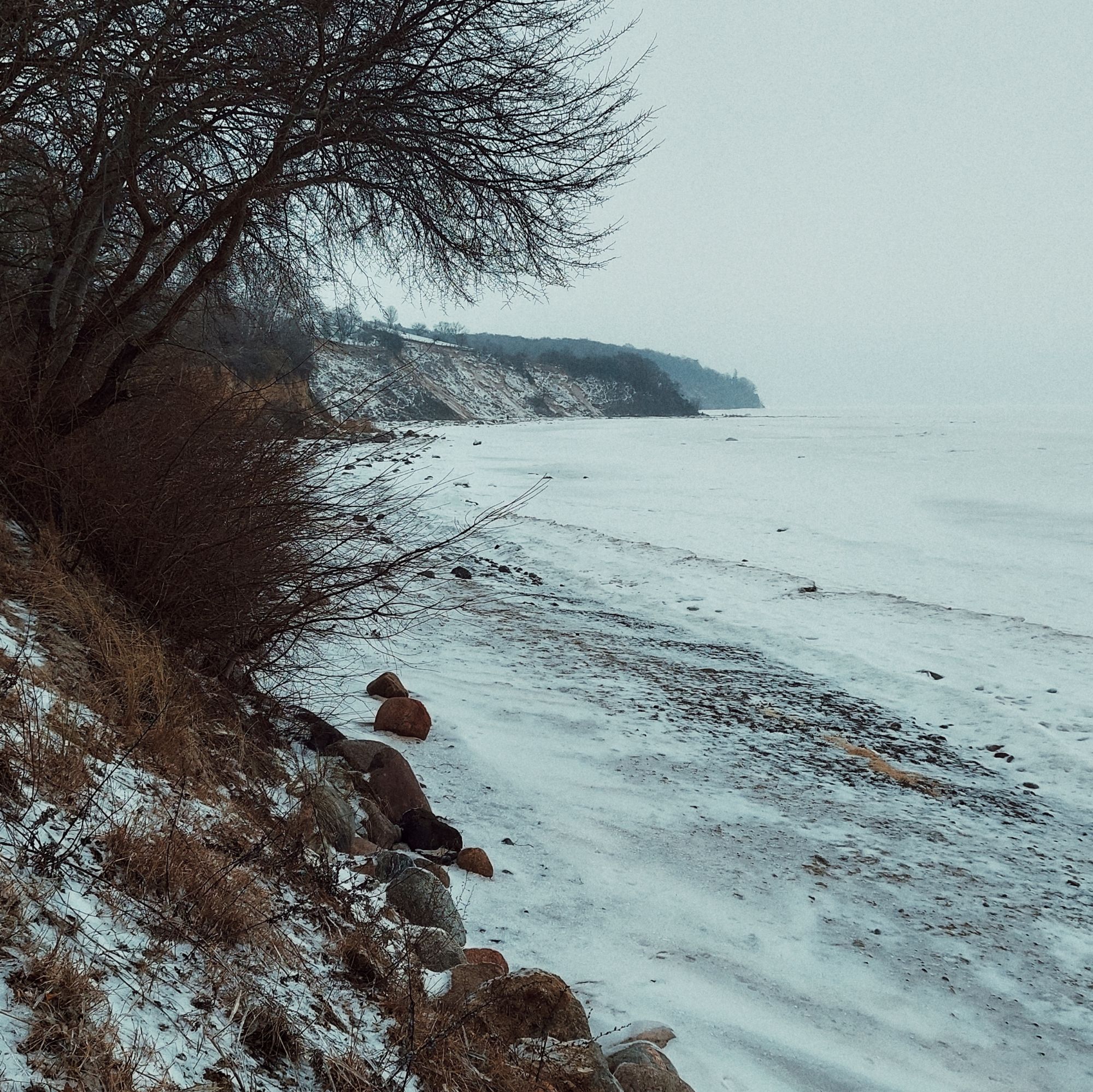 Rocky coast, icy sea, dark trees and a lot of ice and winter.